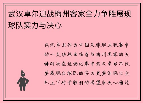 武汉卓尔迎战梅州客家全力争胜展现球队实力与决心