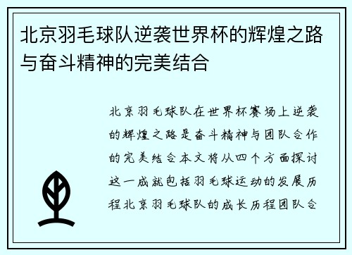 北京羽毛球队逆袭世界杯的辉煌之路与奋斗精神的完美结合