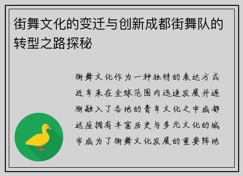 街舞文化的变迁与创新成都街舞队的转型之路探秘